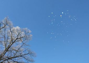 66_Luftballons_2016_013.JPG
